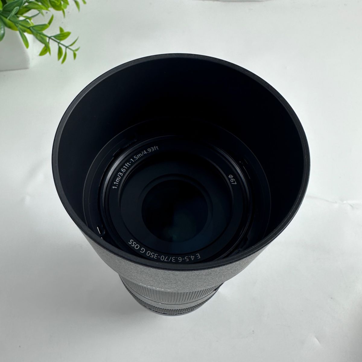 Main image 6