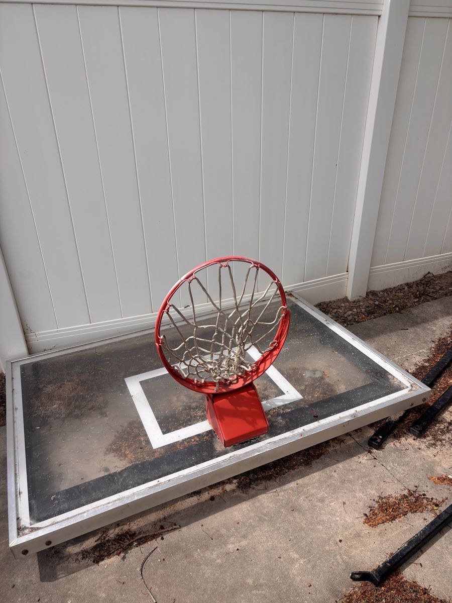 Hoosier hoops basketball standard
