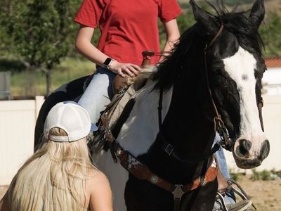 Beautiful Black & White Paint Horse Gelding - Trail and Arena Ready