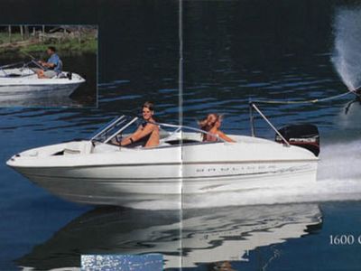 Bayliner Capri 1600 fishing/wakeboarding boat, good condition
