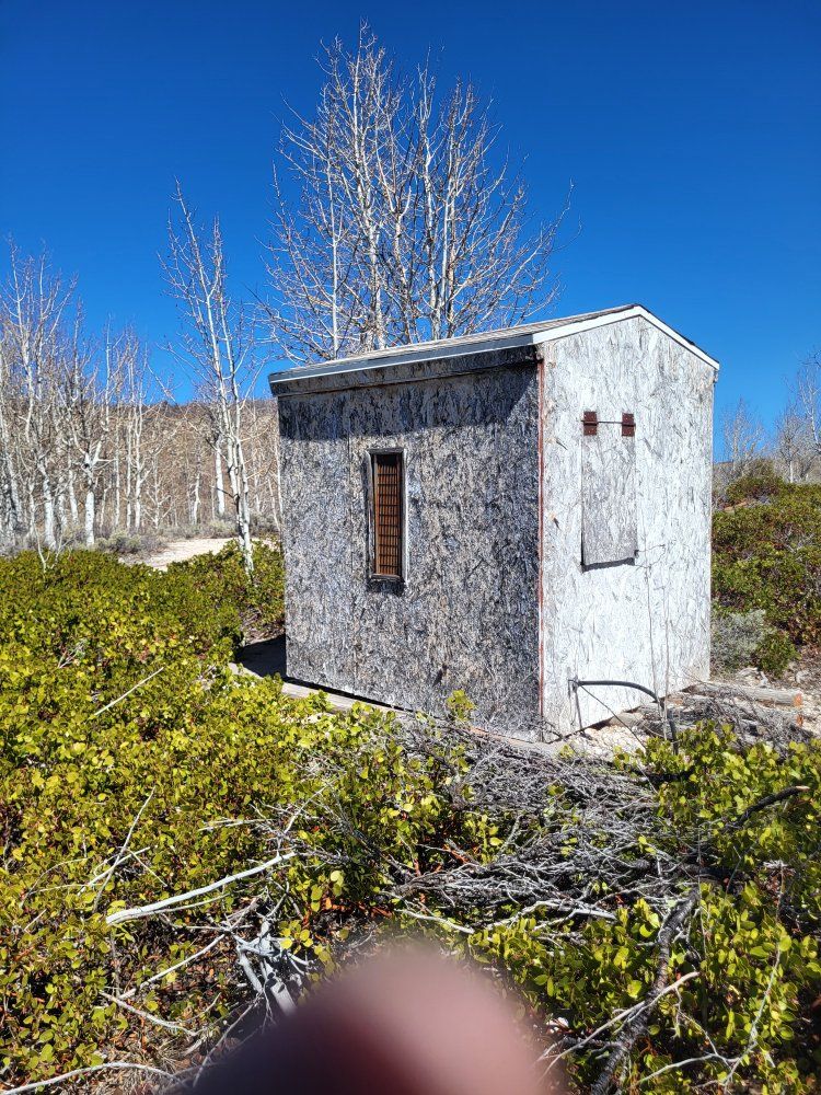 Main image 8