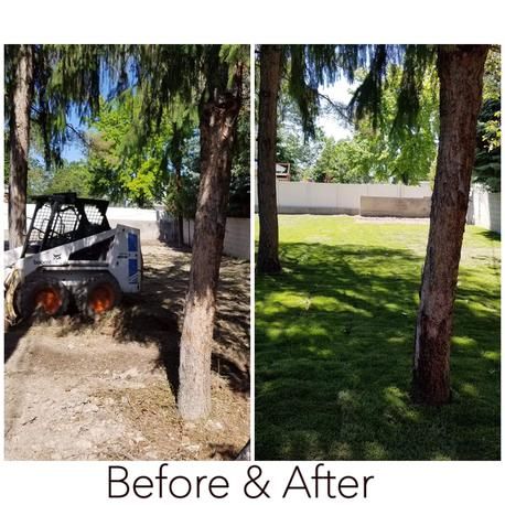 Lawn Care | Yard Maintenance | Mow Strip Installation | Lawn Mowing Service | Landscaping | Sprinkler Installation