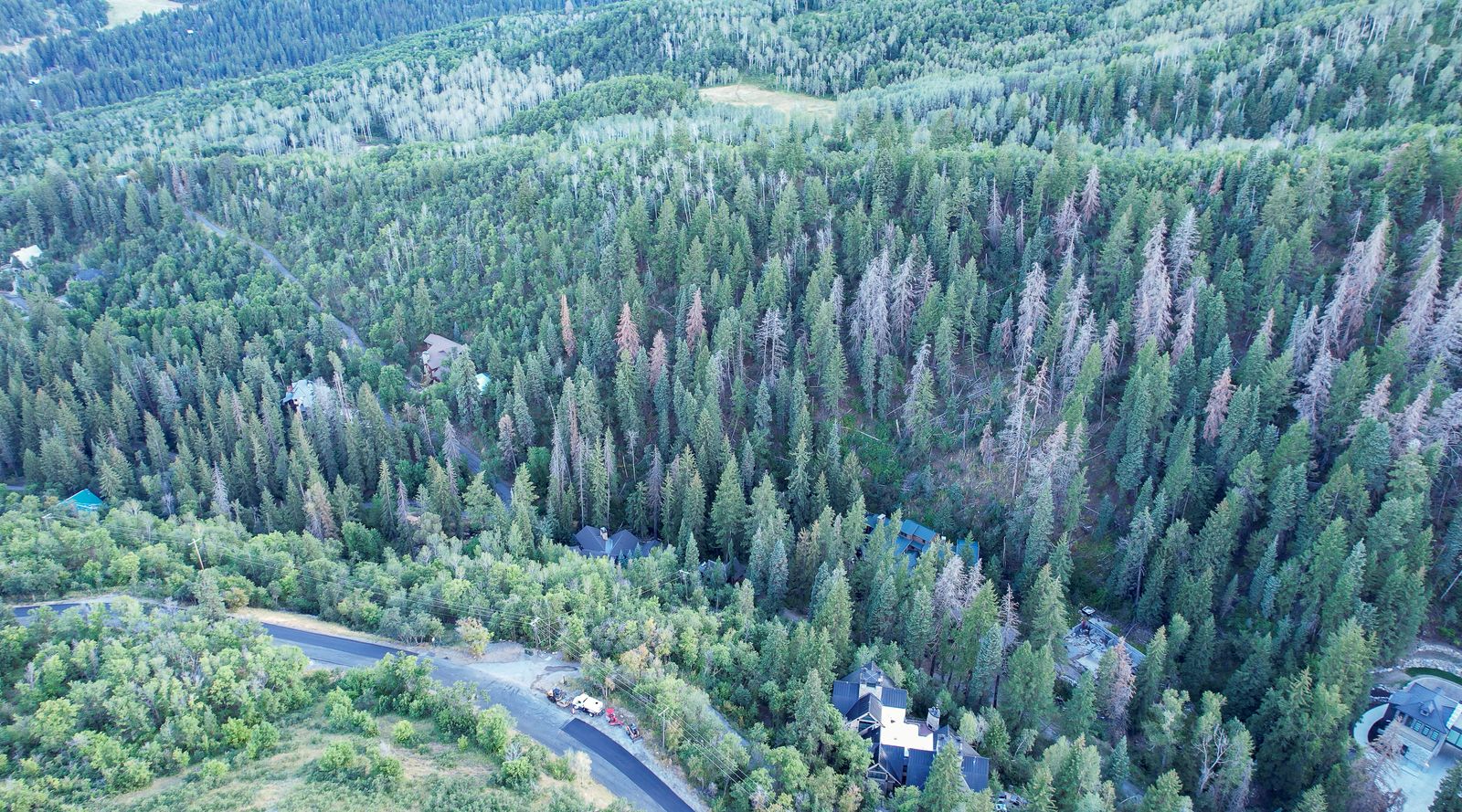 Main image 22
