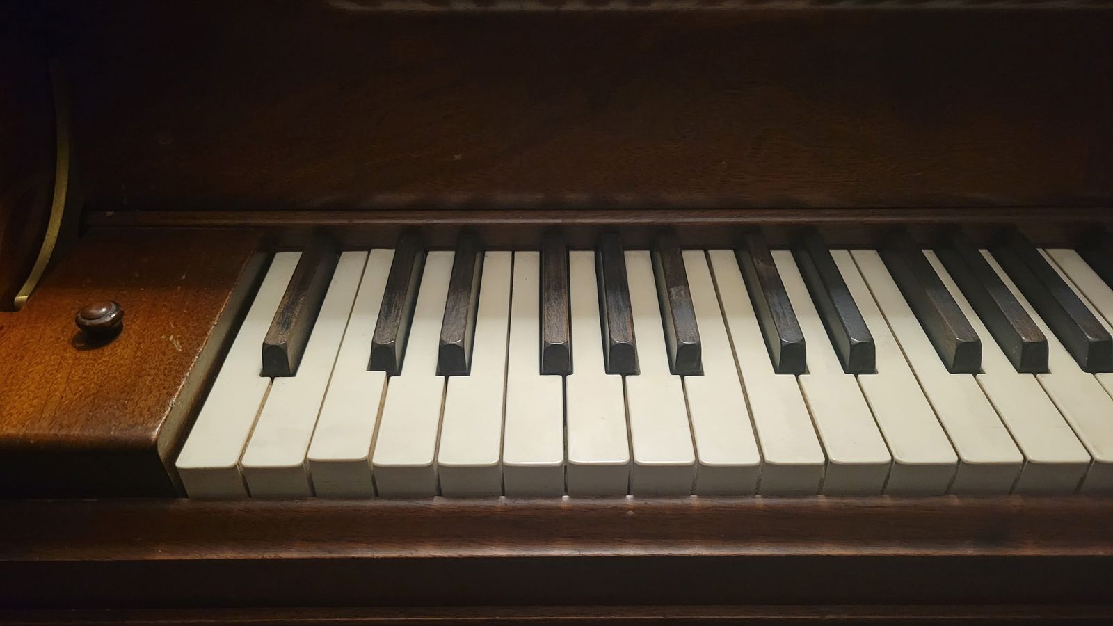 Main image 7