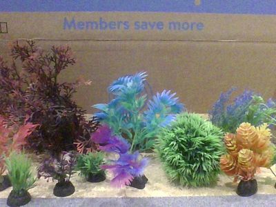 Aquarium Collorful Artificial Plants Bundle