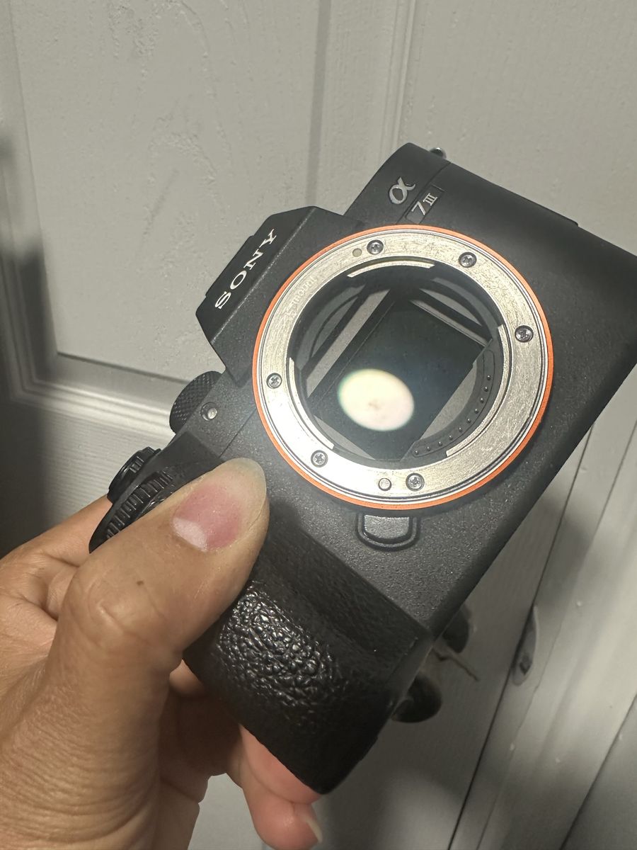 Main image 7
