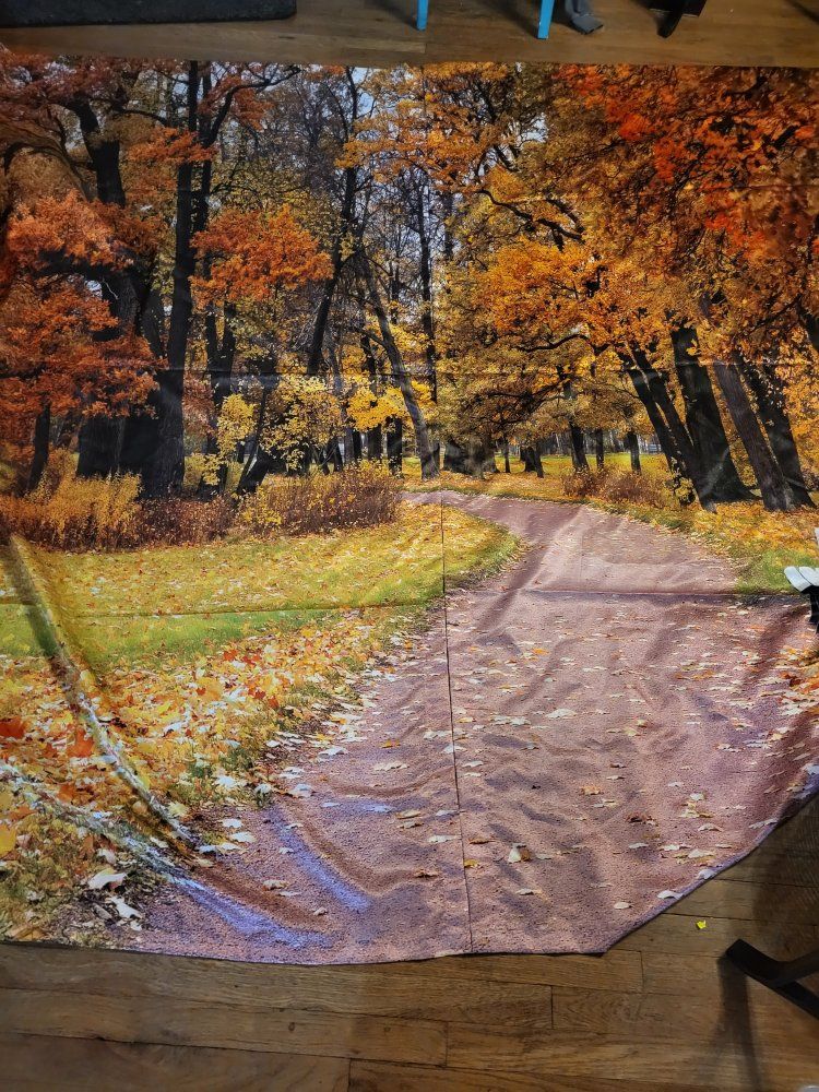 Autumn Park Path Photography Backdrop, Fabric Photo Studio Prop, Fall Forest Scenery