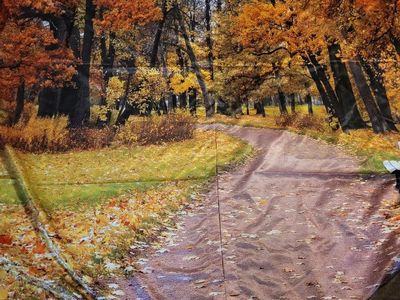 Autumn Park Path Photography Backdrop, Fabric Photo Studio Prop, Fall Forest Scenery