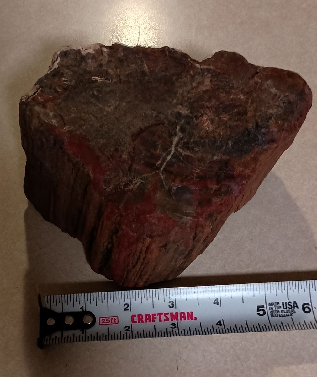 Main image 6