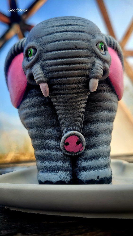 Elephant (´∀｀) concrete, Luck, air plant, cacti,