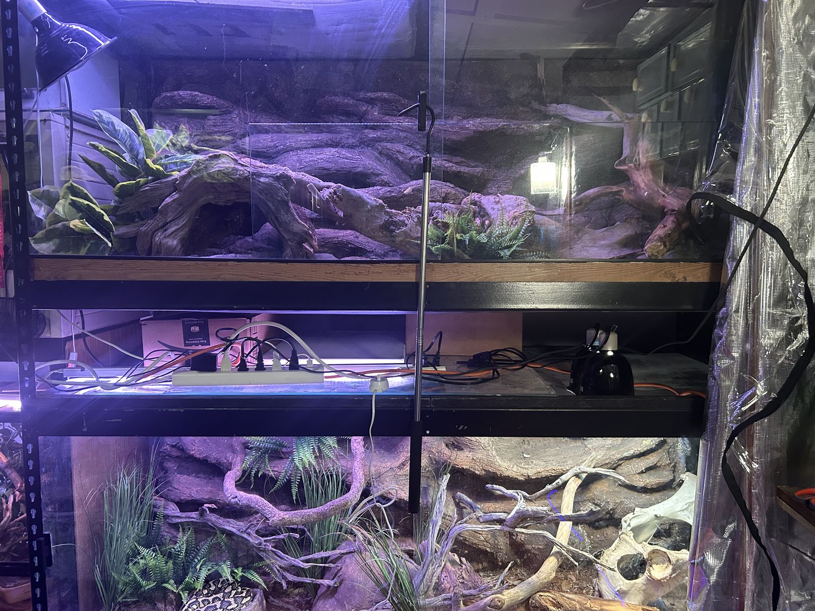 Two 6x3x3 Custom Reptile Enclosures