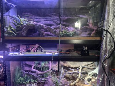 Two 6x3x3 Custom Reptile Enclosures