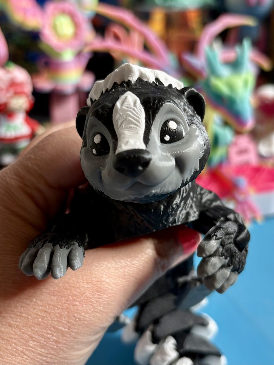 3D Printed Print Printing Critter SKUNK Articulating Figure ADHD AUTISM Fidget Fidgets Toy Toys Dragon