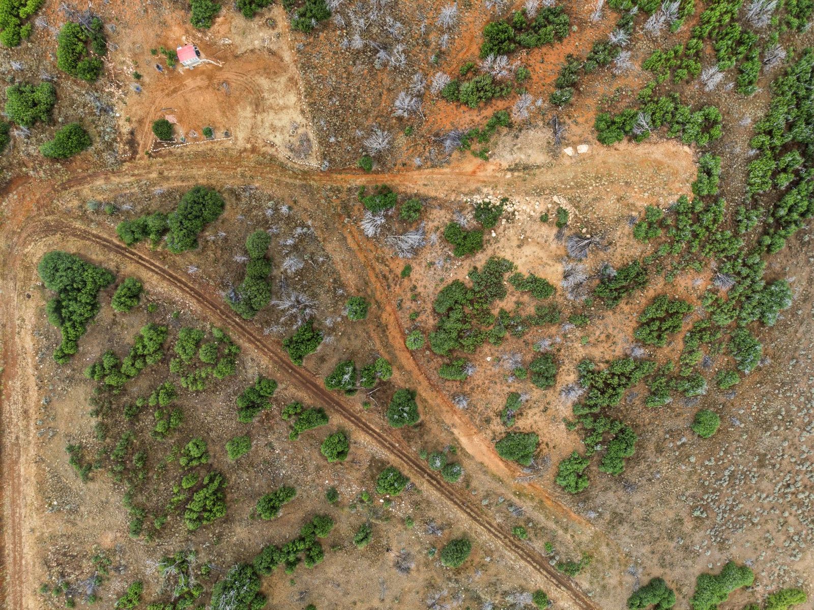 Main image 8