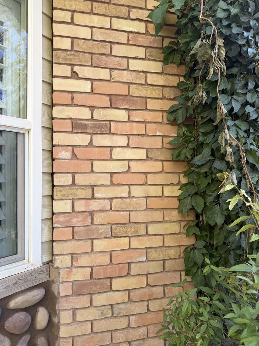 Reclaimed Brick