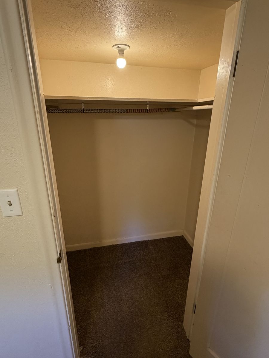 Main image 7