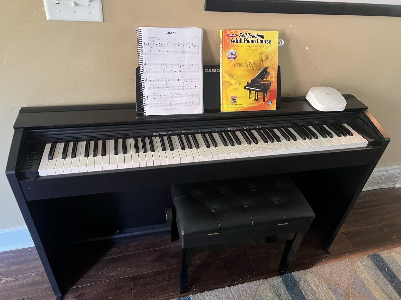 Casio PX870