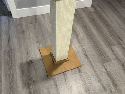 Cat scratch post