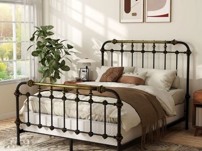 Queen Vintage Industrial Metal Platform Bed Frame with Brass Accents