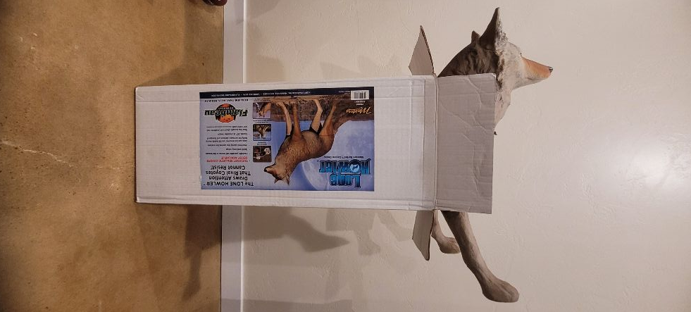 Lone Howler Coyote Decoy