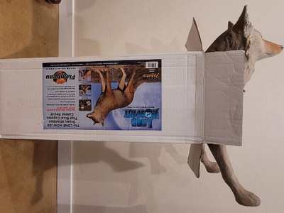 Lone Howler Coyote Decoy