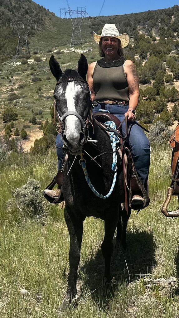 4 Year Old AQHA mare