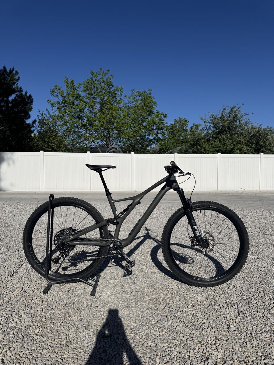 2020 Specialized Stumpjumpber Comp Carbon 29 Large