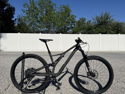 2020 Specialized Stumpjumpber Comp Carbon 29 Large
