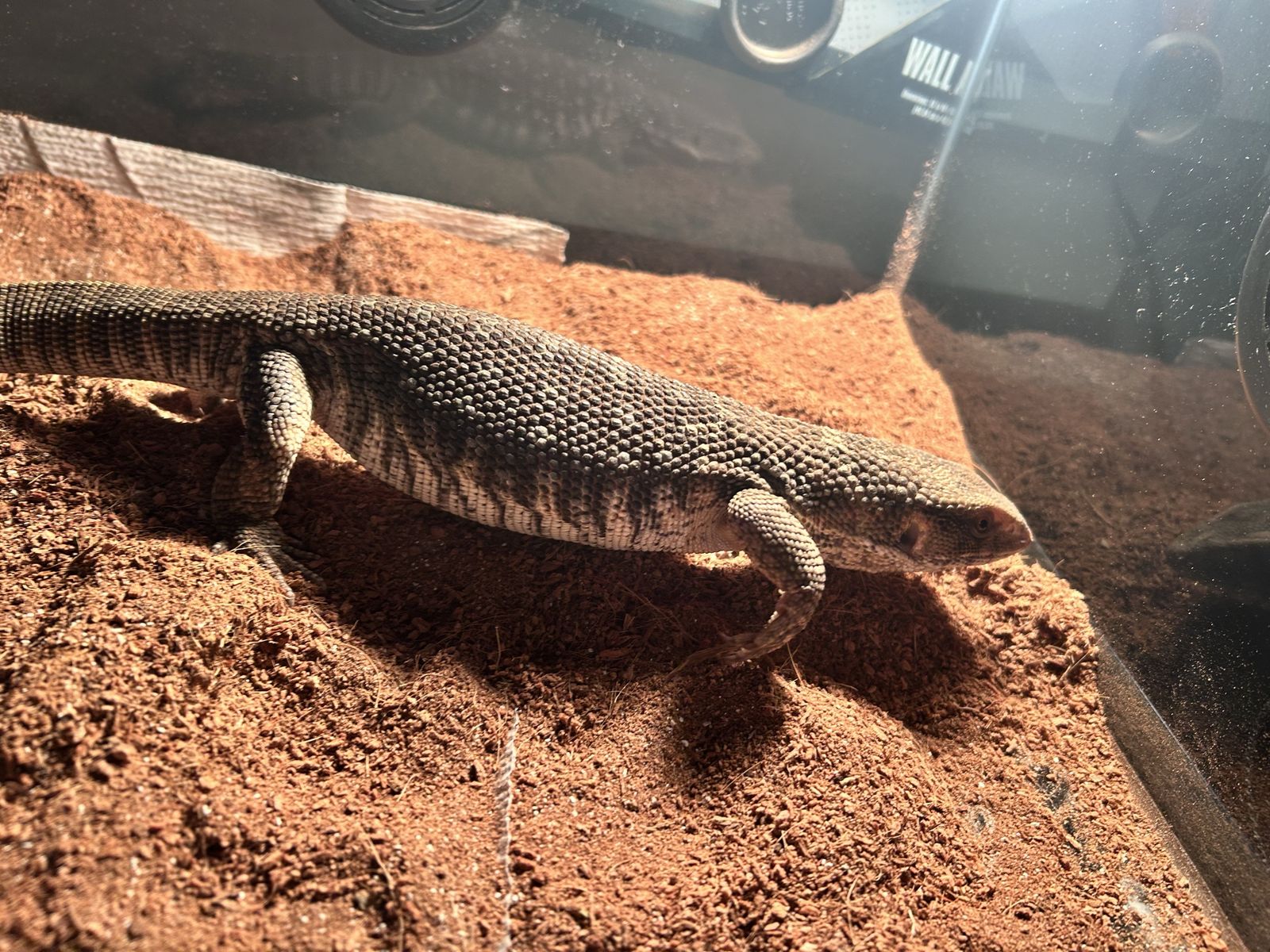 reptile/supplies