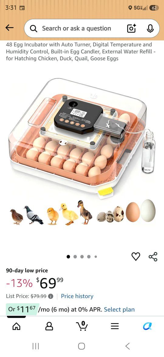 Egg Incubator