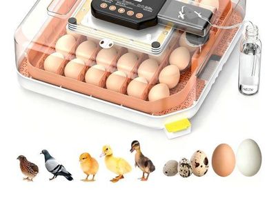 Egg Incubator