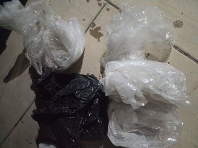 landscaping / painting plastic