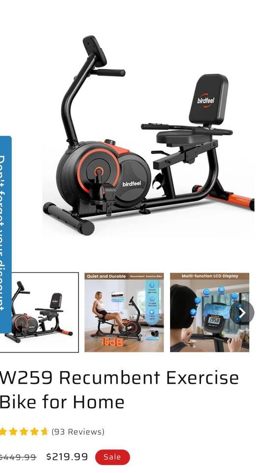 Recumbent Exercise Bike