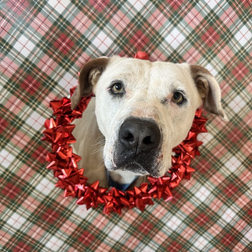 Hello my name is Mike