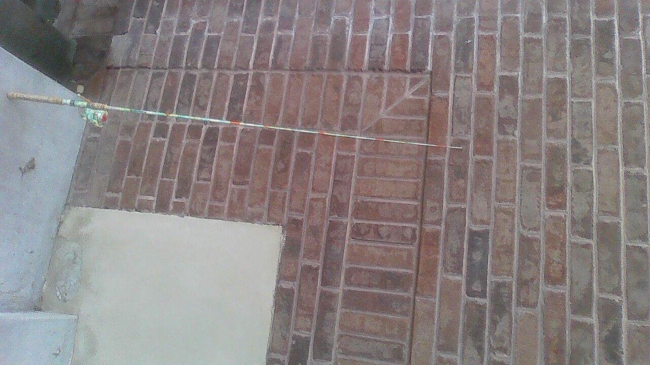 profishiency fishing pole