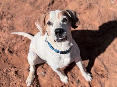 Hello my name is Sawyer