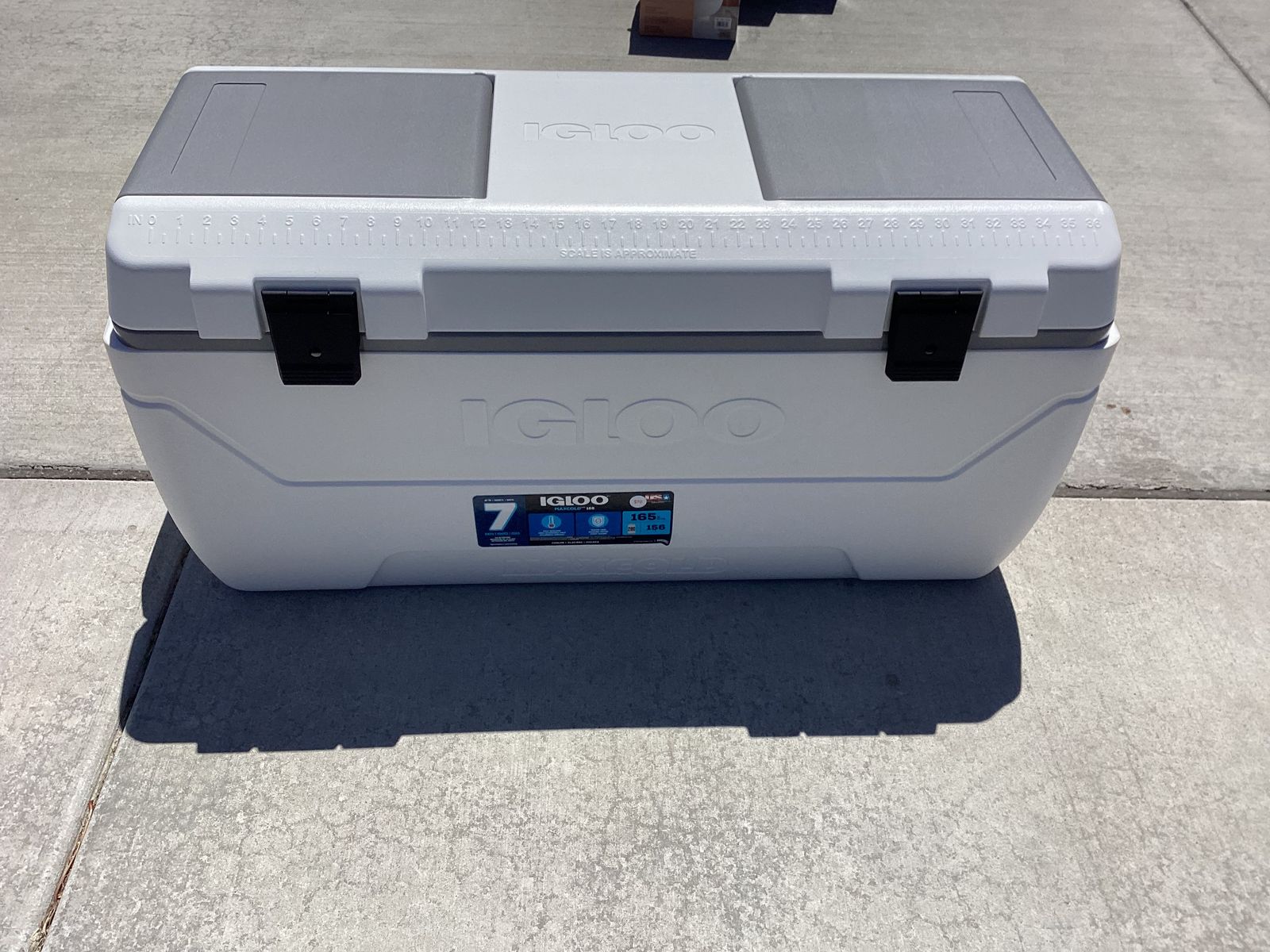 New - Large Igloo Cooler