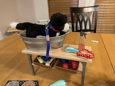 Our Generation Pet Store/Grooming Set (pets included)
