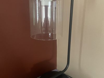 Stylish Modern/Industrial Lamp with Glass Shade