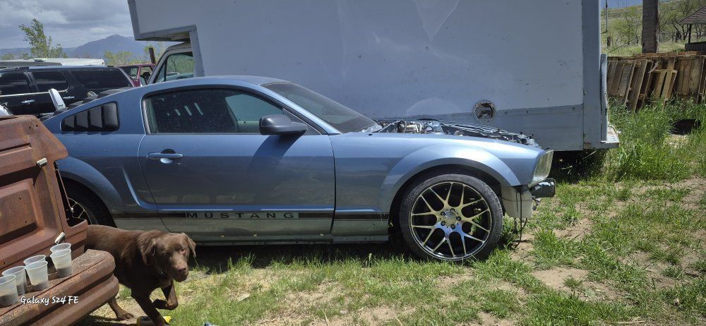 Ford Mustang 2006 S197- Blue, Aftermarket Wheels