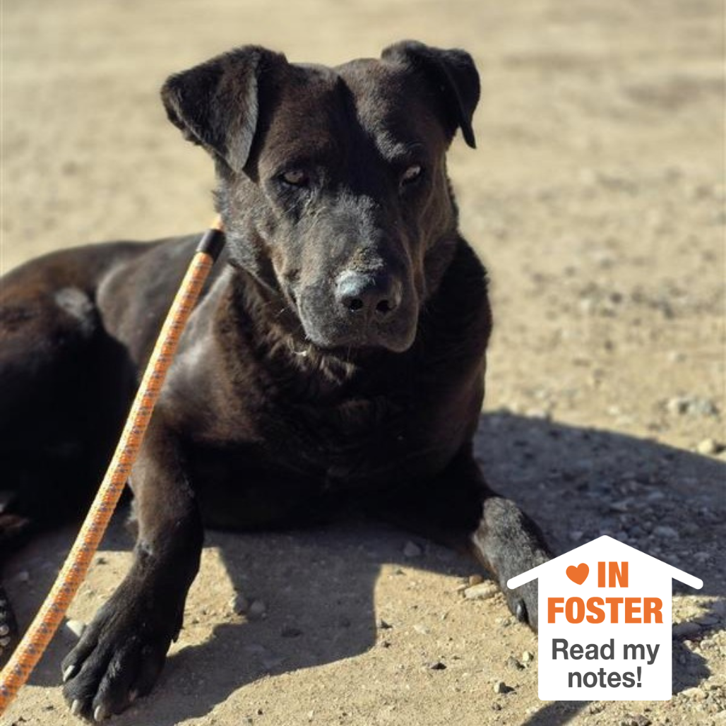 Hello my name is Chuck