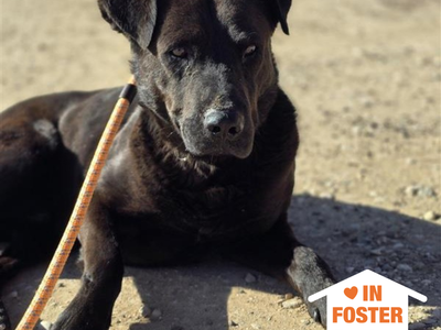 Hello my name is Chuck