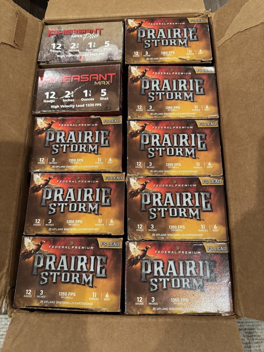 Assorted Case 12ga Shorgun Shells