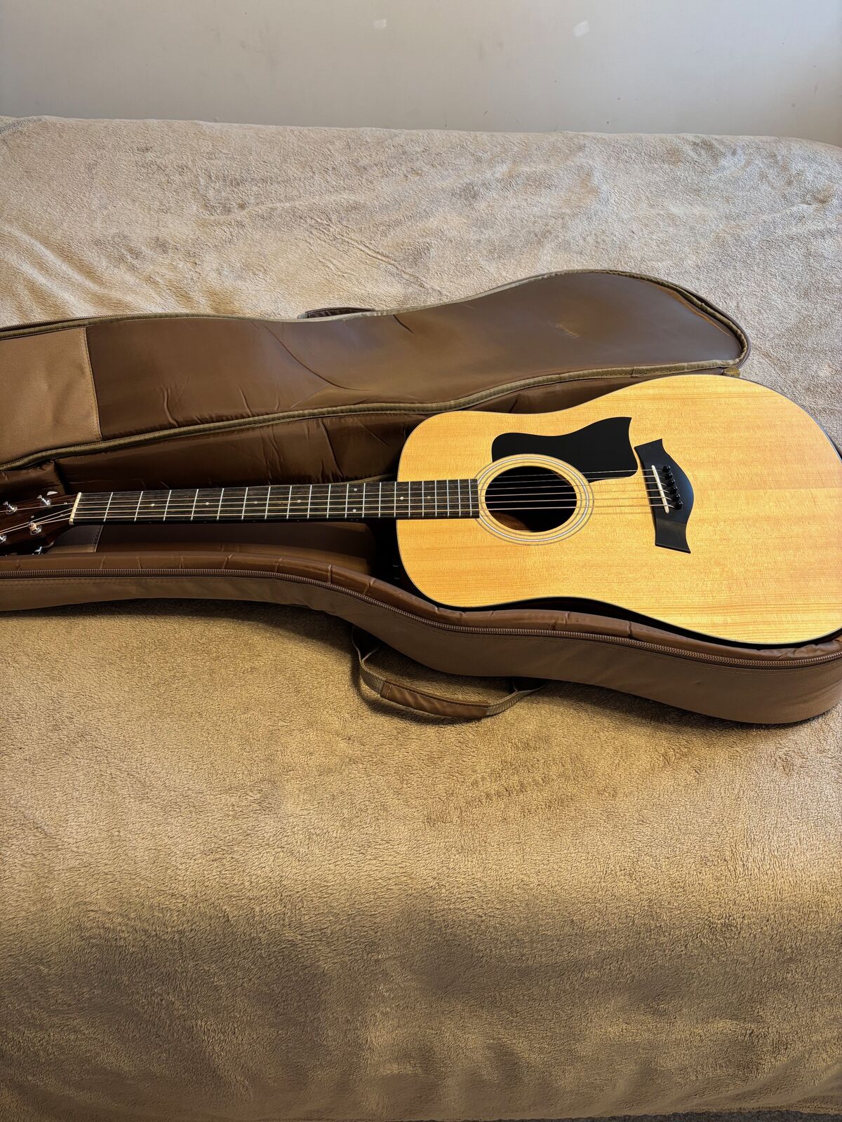 Taylor Acoustic Guitar