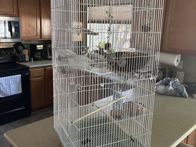 Bird Cage