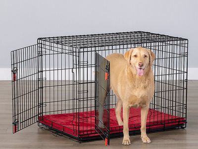 Folding Black Wire Dog Crate with xl 42” Pet kennel extra large