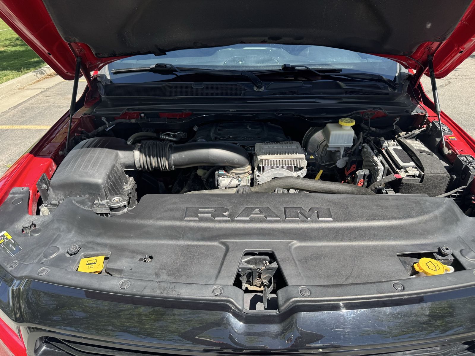 Main image 5