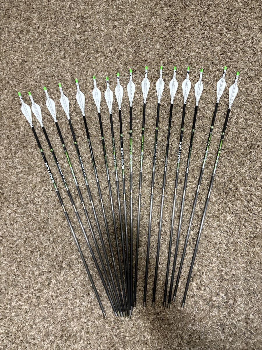 New Easton Axis Arrows Match grade