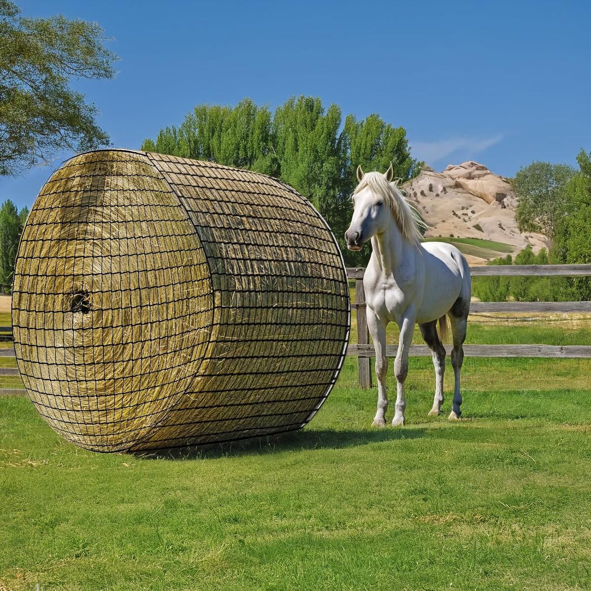 Round Bale Hay Net for Horses, Durable Knotless Nylon Slow Feeder, Max 6x6 ft