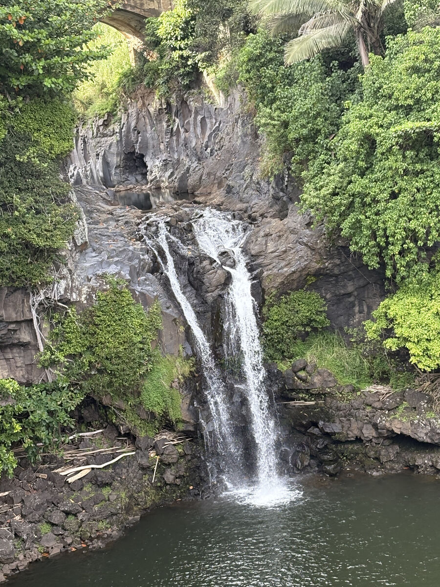 Free Maui timeshares/Rentals: Maui/Kauai 2026: July, Sept, Oct, Nov Dec weeks timeshare